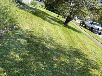 Lawn Care service in Galloway, 43119
