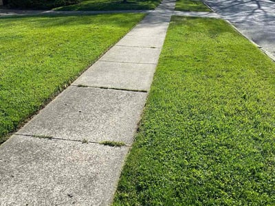 Lawn Care service in Euclid, 44123