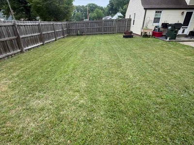 Lawn Care service in Euclid, 44123