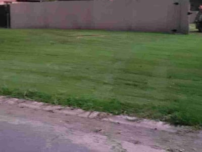 Lawn Care service in Wantagh, 11793