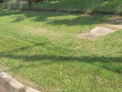 Lawn Care service in Wantagh, 11793