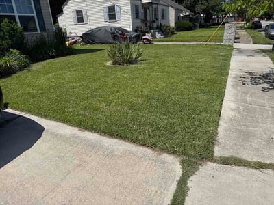 Lawn Care service in Covina, 91723