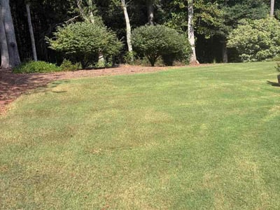 Lawn Care service in Covina, 91723