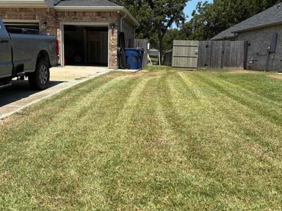 Lawn Care service in Santee, 92071