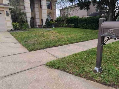 Lawn Care service in Granada Hills, 91344