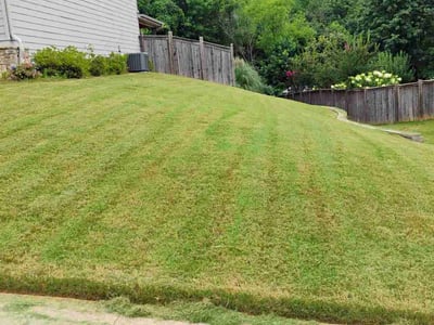 Lawn Care service in Nassau County, 11566