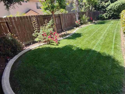 Lawn Care service in Modesto, 95354