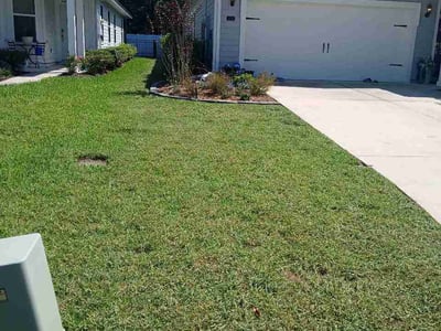 Lawn Care service in Lakeside, 92040
