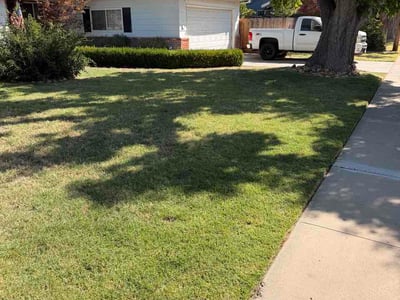 Lawn Care service in Modesto, 95354