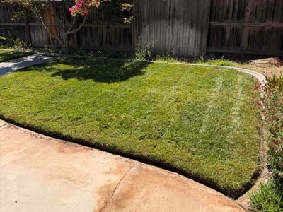 Lawn Care service in Modesto, 95354