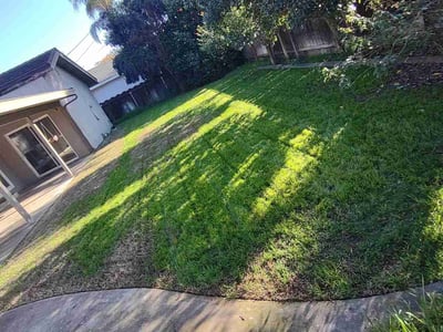 Lawn Care service in Modesto, 95354