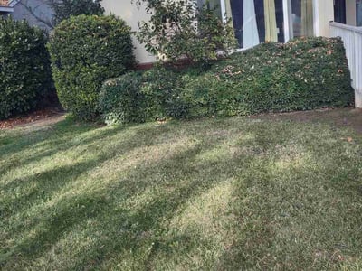 Lawn Care service in Modesto, 95354
