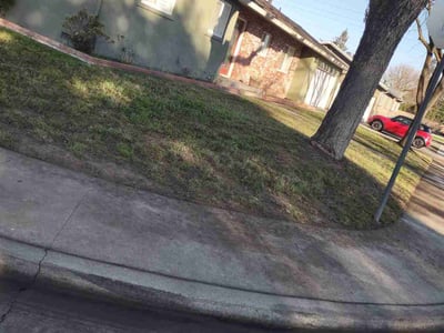 Lawn Care service in Modesto, 95354