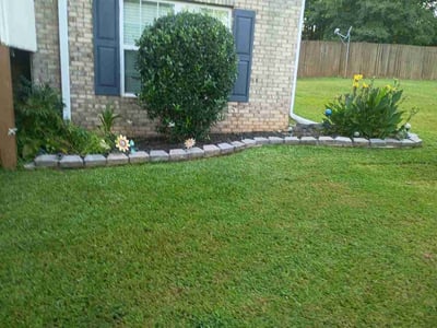 Lawn Care service in Modesto, 95354
