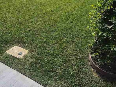 Lawn Care service in Burbank, 91502