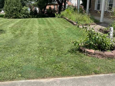 Lawn Care service in Fairfield, 45014