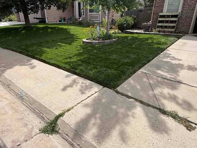 Lawn Care service in Castle Rock, 80104