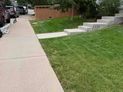Lawn Care service in Castle Rock, 80104