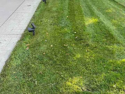 Lawn Care service in Columbia Heights, 55421