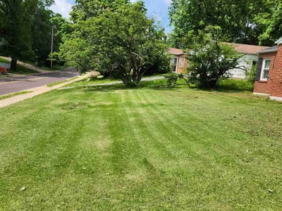Lawn Care service in Glendora, 91741