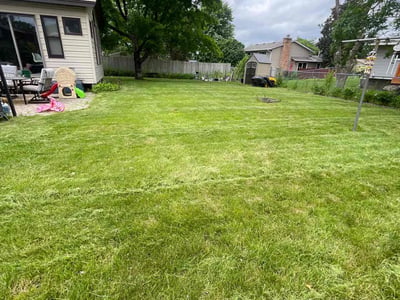 Lawn Care service in Columbia Heights, 55421
