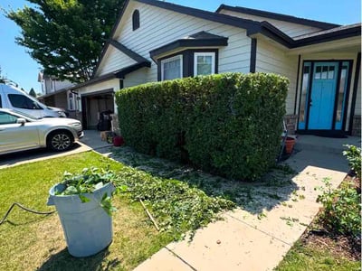 Lawn Care service in Yucca Valley, 92284