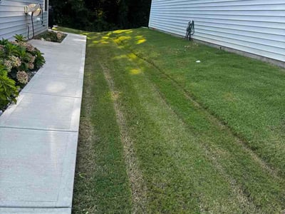 Lawn Care service in Statesville, 28677