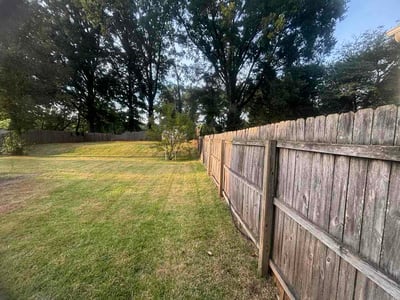 Lawn Care service in Statesville, 28677