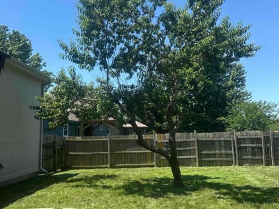 Lawn Care service in Big Bear Lake, 92315