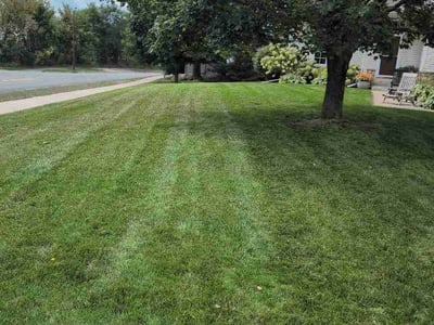 Lawn Care service in Eagan, 55123