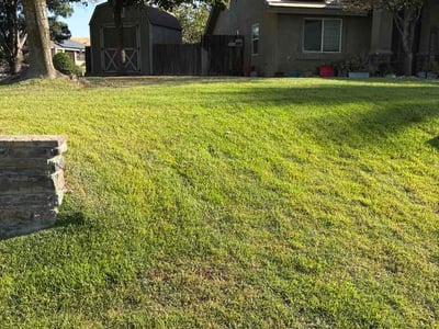 Lawn Care service in California City, 93505