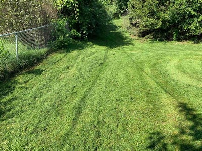 Lawn Care service in California City, 93505