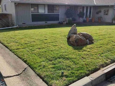 Lawn Care service in El Dorado Hills, 95762