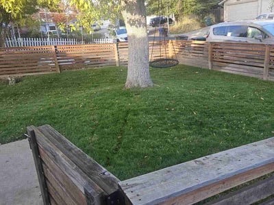 Lawn Care service in El Dorado Hills, 95762
