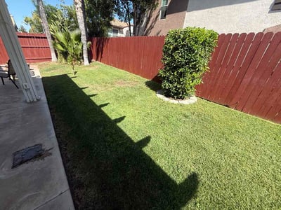 Lawn Care service in Beaumont, 92223