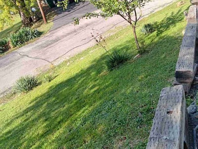 Lawn Care service in Tustin, 92780