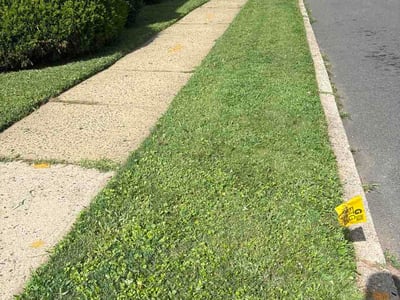 Lawn Care service in Parsippany, 07054