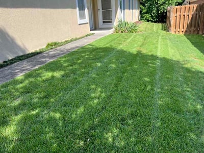 Lawn Care service in Oneonta, 35121