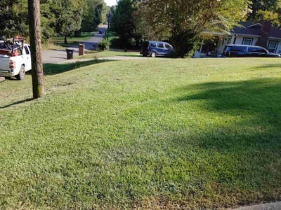 Lawn Care service in Oneonta, 35121