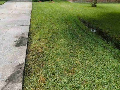 Lawn Care service in Dana Point, 92629
