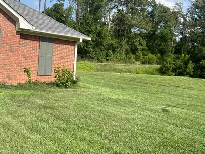 Lawn Care service in Pearl, 39208