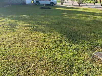 Lawn Care service in Fairfield, 35064