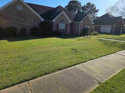 Lawn Care service in Pearl, 39208