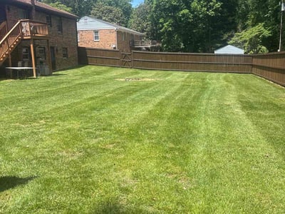Lawn Care service in Laguna Beach, 92651