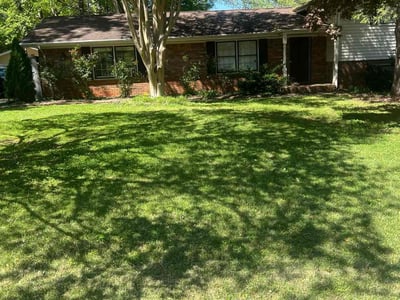 Lawn Care service in Irvine, 92606