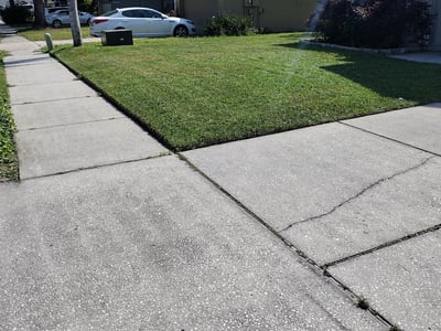 Lawn Care service in Irvine, 92606