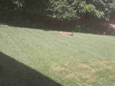 Lawn Care service in High Ridge, 63049