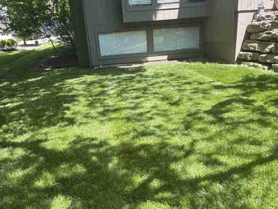 Lawn Care service in Paola, 66071