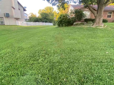 Lawn Care service in High Ridge, 63049