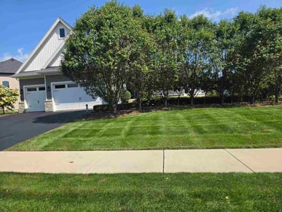 Lawn Care service in Surprise, 85374